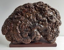 Ancien Ecran De Table Chinois Champignon Lettré Old Lingzhi Fungus Table Screen