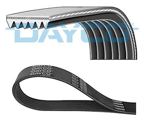 Dayco 6pk1069 courroie - dayco,