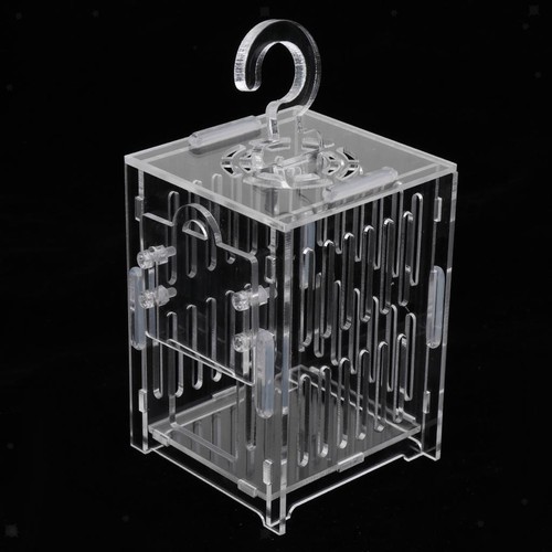 Terrarium acrylique pour - en,