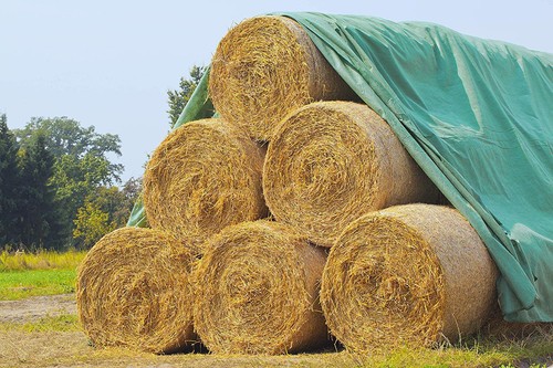 Landgrid protection pour - protection,