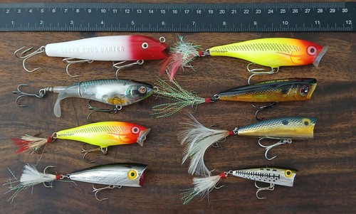 Mixed topwater popper fishing - mixed,
