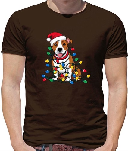 Staffordshire bull terrier - staffordshire,