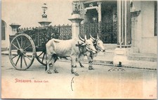 SINGAPORE - Bullock cart.