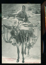 LES PYRENEES  UNE FANEUSE