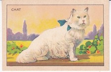 Chromo Animaux domestiques Le