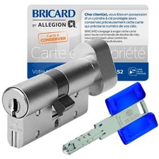 Cylindre serrure 30x30 mm à bouton acier renforcé 3 clés CHIFRAL S2 BRICARD-BRI
