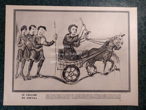 Voiture deux roues collier - voiture, a