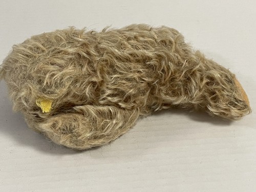 Ancien ours peluche - ours, steiff