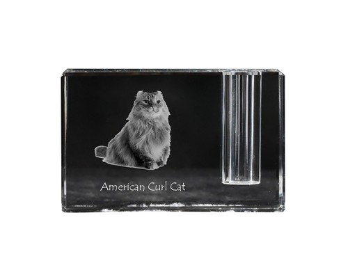 Stylo support american curl - support,