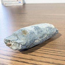 Fossile de bélemnite pyritée