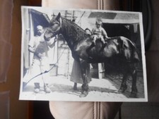 photo ancienne cheval a la ferme