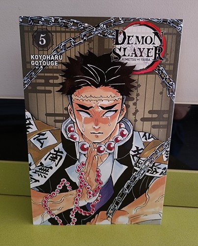 Demon slayer édition pilier - demon,