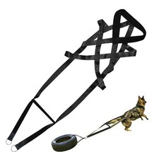 Harnais de traction pour