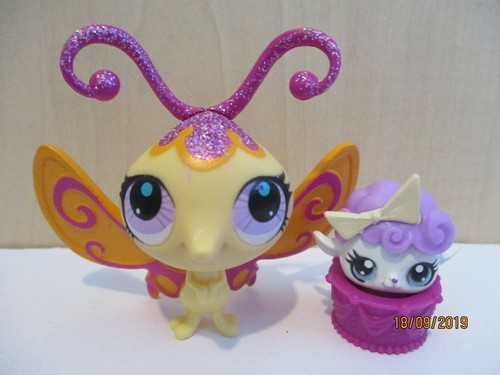 Petshop duo papillon - duo, :