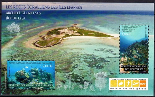 Timbres taaf 983 984 - taaf, n°983