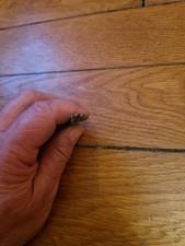 Ancien Fer A Dorer Reliure