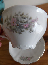 Seltmann Weiden grande tasse porcelaine de bavière 