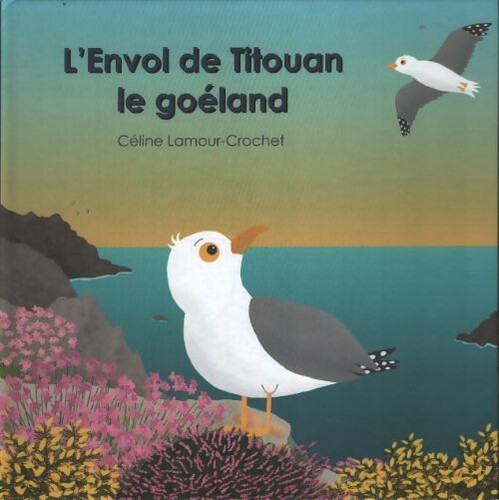 Envol titouan le goëland - de,
