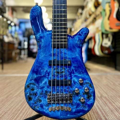 Warwick pro series - streamer, lx