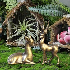 2 statues de cerf Sika en