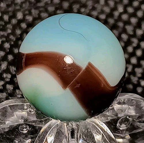 Vitro agate hybrid blackie - vitro,