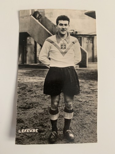 Lille losc rare - lille, photo