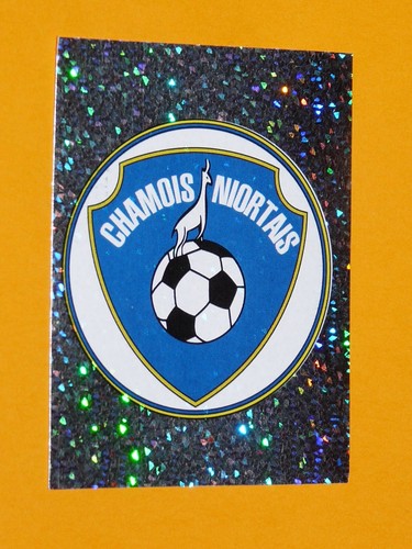 418 chamois niortais niort - chamois,