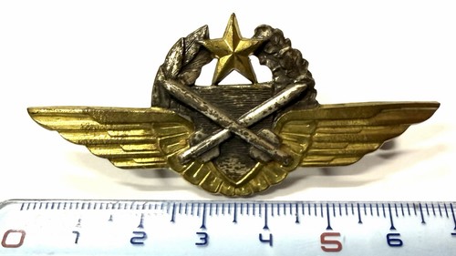 Insigne brevet pilote - insigne,