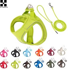 Harnais Et  Laisse  Corde