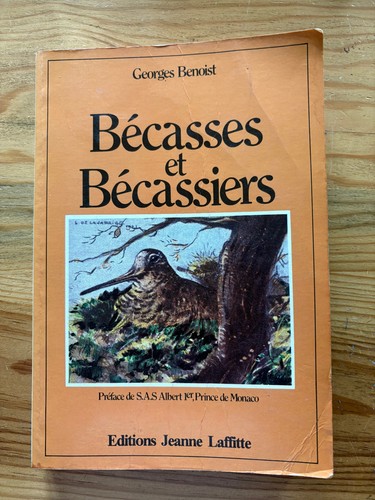 Bécasses bécassiers - bécasses,