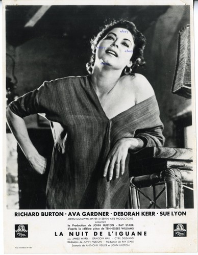 Ava gardner nuit - gardner,