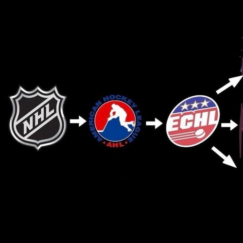 Nhl ahl echl ncaa ushl - echl,