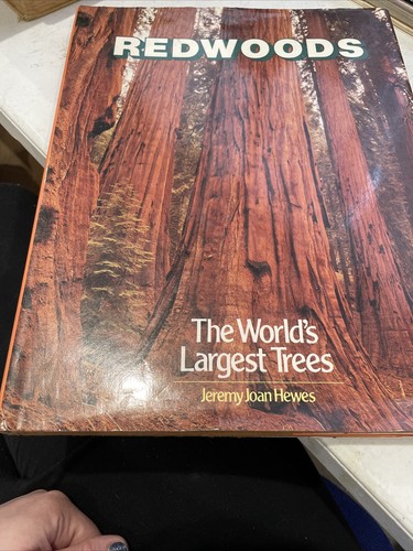 Redwoods the world - world's, largest