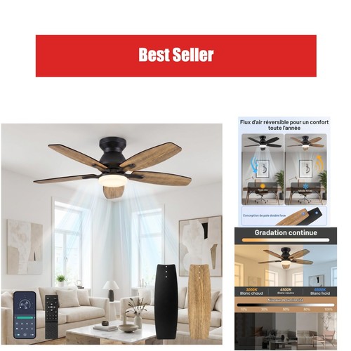 Ventilateur plafond avec - de,