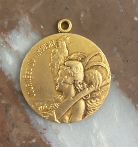 Médaille journée limousin - du,