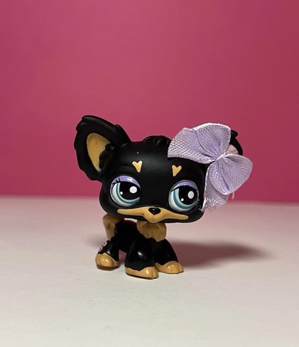 Littlest pet shop 1571 - 🌸littlest,