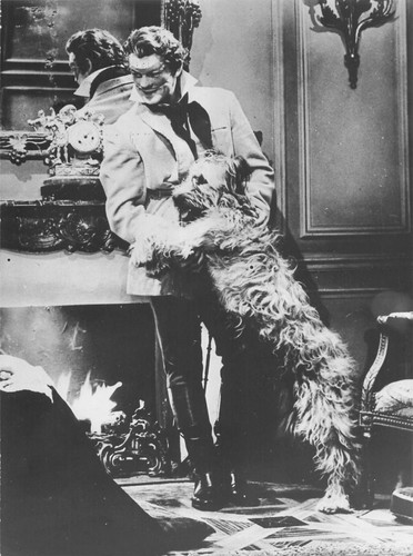 Jean marais nez cuir - ,