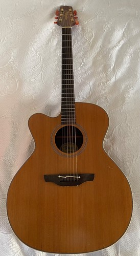 Guitare folk electro - guitare,