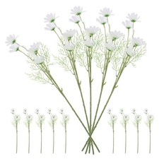 Bouquet de fleurs sauvages