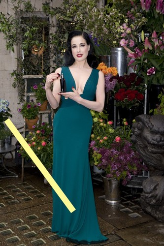 Photo 10x15cm 4x6 - photo,