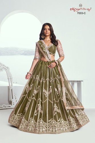 Robe indienne pakistanaise - robe,