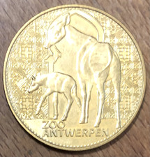 BELGIQUE ANTWERPEN ZOO OKAPI