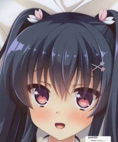 Body pillow cover - pillow, sora
