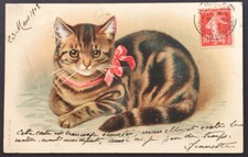 Carte Postale Ancienne 