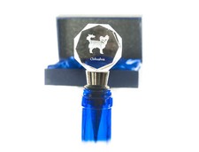 Chihuahua À Poil Long Bouchon