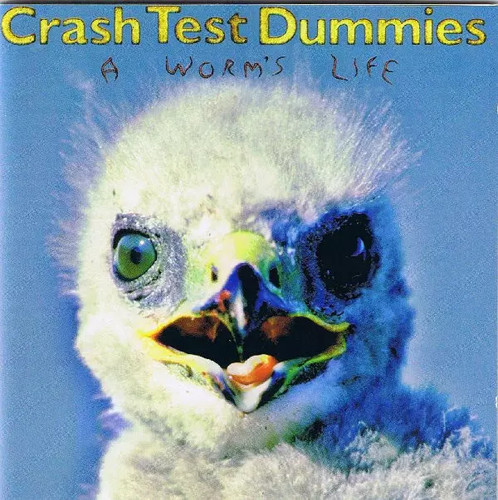 Worm life crash - worm's,