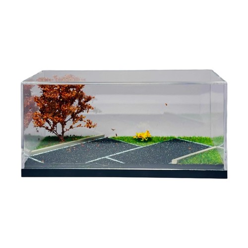 Vitrine présentation pour - vitrine, de