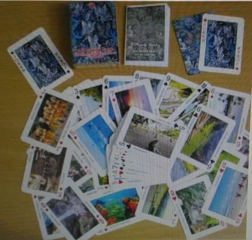 Ravissant jeux cartes à - ravissant, 54