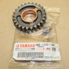 PIGNON 2eme SECONDAIRE YZ 250