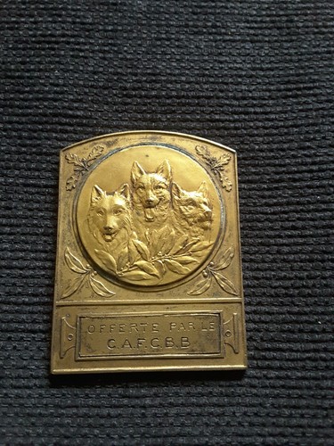 Médaille plaquette chien - , de